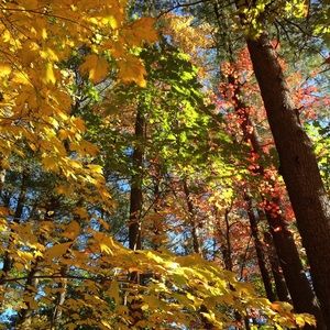 Meet your Posher, Margaret